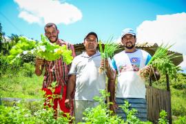 WhatsApp Image 2023-05-17 at 10.19.45.jpeg