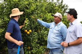 WhatsApp Image 2023-05-18 at 16.22.03.jpeg