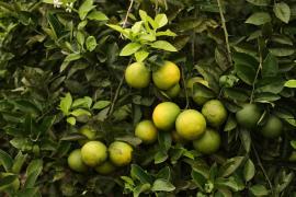 WhatsApp Image 2023-05-18 at 16.22.05.jpeg