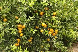 WhatsApp Image 2023-05-18 at 16.22.06.jpeg