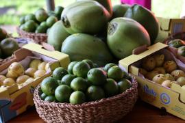 WhatsApp Image 2023-05-18 at 16.22.07 (2).jpeg