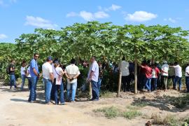 WhatsApp Image 2023-05-18 at 16.22.07.jpeg