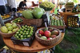 WhatsApp Image 2023-05-18 at 16.22.08 (1).jpeg