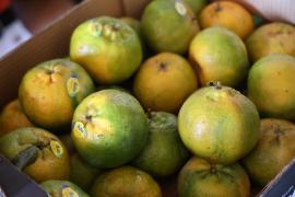 WhatsApp Image 2023-05-18 at 16.22.08.jpeg