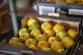 WhatsApp Image 2023-05-18 at 16.22.09.jpeg