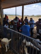 WhatsApp Image 2023-05-18 at 17.27.02 (1).jpeg