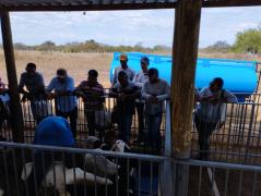 WhatsApp Image 2023-05-18 at 17.27.02 (2).jpeg