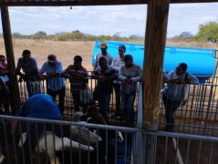 WhatsApp Image 2023-05-18 at 17.27.02 (3).jpeg