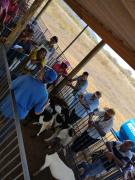 WhatsApp Image 2023-05-18 at 17.27.02.jpeg