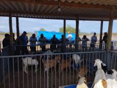 WhatsApp Image 2023-05-18 at 17.27.03.jpeg