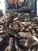 WhatsApp Image 2023-05-23 at 15.35.53 (2).jpeg