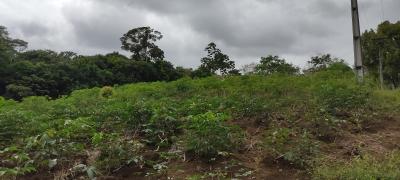 WhatsApp Image 2023-05-23 at 15.35.53.jpeg