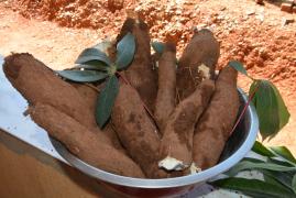 WhatsApp Image 2023-05-23 at 15.45.49.jpeg