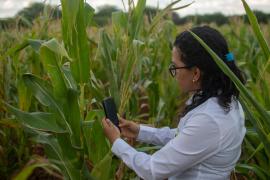 WhatsApp Image 2023-05-23 at 17.13.46 (1).jpeg