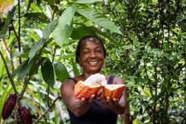 WhatsApp Image 2023-05-26 at 15.38.31.jpeg