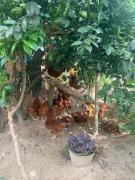 WhatsApp Image 2023-05-30 at 11.38.15.jpeg