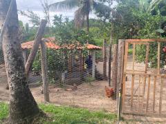 WhatsApp Image 2023-05-30 at 11.38.43.jpeg