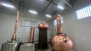 WhatsApp Image 2023-06-02 at 18.15.33.jpeg