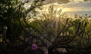 WhatsApp Image 2023-06-05 at 18.09.52.jpeg