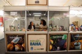 WhatsApp Image 2023-06-09 at 17.09.19 (1).jpeg