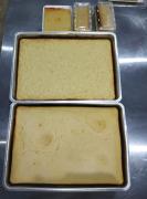 WhatsApp Image 2023-06-12 at 10.11.01.jpeg