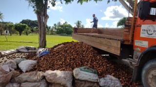 WhatsApp Image 2023-06-13 at 14.52.52.jpeg