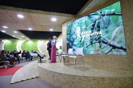 WhatsApp Image 2023-06-15 at 11.40.30 (1).jpeg