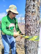 WhatsApp Image 2023-06-15 at 17.29.04.jpeg