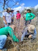 WhatsApp Image 2023-06-15 at 17.29.08 (1).jpeg