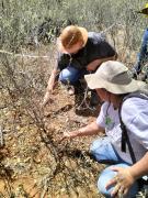 WhatsApp Image 2023-06-15 at 17.29.08.jpeg