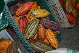 WhatsApp Image 2023-06-16 at 12.23.23 (5).jpeg