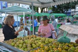 WhatsApp Image 2023-06-16 at 12.23.23 (7).jpeg