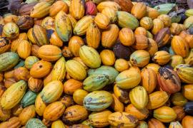 WhatsApp Image 2023-06-27 at 17.34.07.jpeg