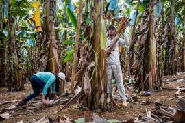 WhatsApp Image 2023-06-30 at 10.31.55.jpeg