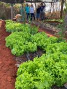 WhatsApp Image 2023-07-10 at 12.48.13.jpeg