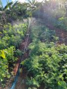 WhatsApp Image 2023-07-10 at 12.48.14.jpeg