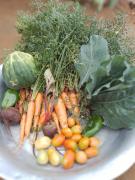 WhatsApp Image 2023-07-10 at 12.48.52.jpeg