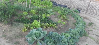 WhatsApp Image 2023-07-10 at 12.49.26.jpeg