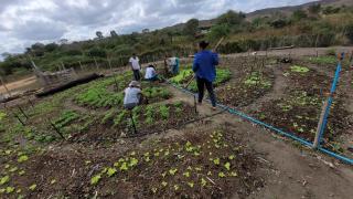 WhatsApp Image 2023-07-10 at 12.50.02.jpeg