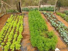 WhatsApp Image 2023-07-10 at 14.43.38.jpeg