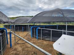 WhatsApp Image 2023-07-12 at 14.45.11.jpeg