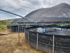 WhatsApp Image 2023-07-12 at 14.45.13.jpeg