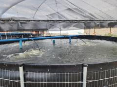 WhatsApp Image 2023-07-12 at 14.45.17.jpeg