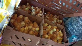 WhatsApp Image 2023-07-18 at 10.48.45 (1).jpeg