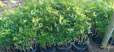 WhatsApp Image 2023-07-18 at 17.20.47.jpeg