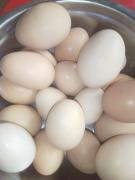 WhatsApp Image 2023-07-19 at 08.41.29.jpeg