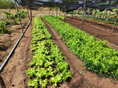 WhatsApp Image 2023-07-19 at 08.41.30 (2).jpeg