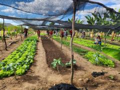 WhatsApp Image 2023-07-19 at 08.41.30.jpeg