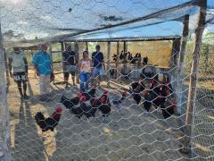 WhatsApp Image 2023-07-19 at 08.41.34.jpeg