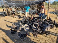 WhatsApp Image 2023-07-19 at 08.41.35.jpeg